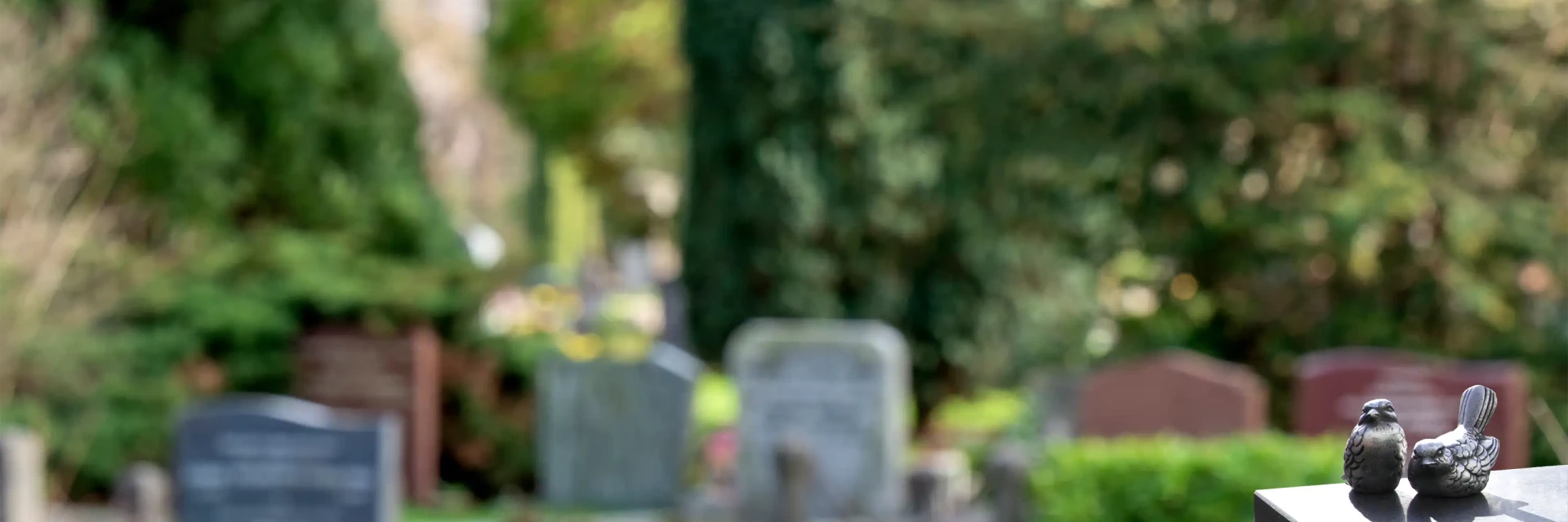 Begraafplaats Grafsteen