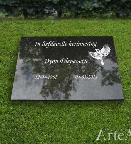 Goedkope letterplaat kopen