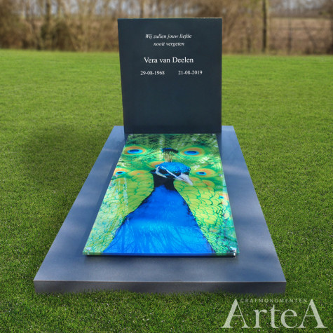 grafsteen met glas print pauw