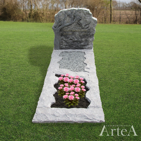 Grafmonument met boom ruw gekapte grafsteen van graniet