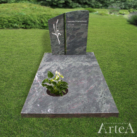 Grafsteen met graniet en planten grafmonument traditioneel en basis