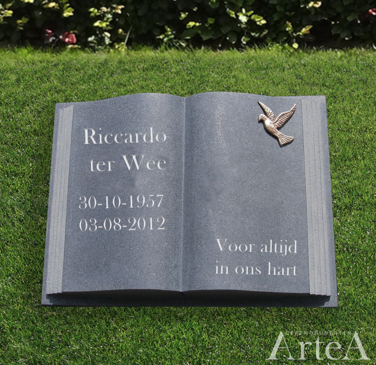 Letterplaat als boek kopen