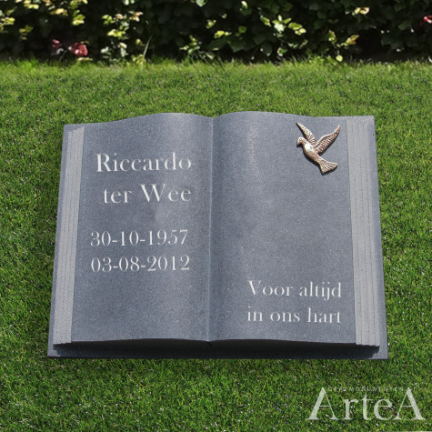 Letterplaat als boek kopen