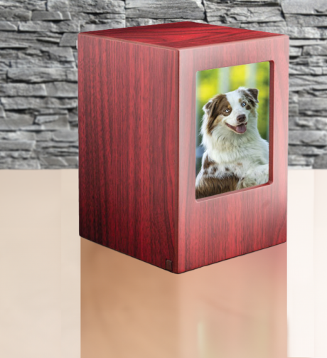 honden urn met foto van hout